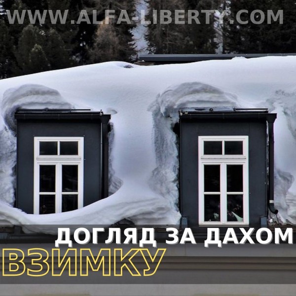 ЯКИМ ПОВИНЕН БУТИ ДОГЛЯД ЗА ДАХОМ ВЗИМКУ?